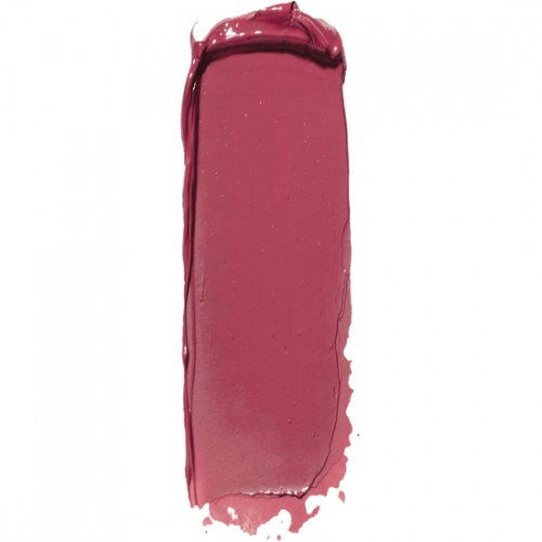 pomada_dlya_gub_make_up_factory_complete_care_ton_15_tsvetochnitsa_3786651_2